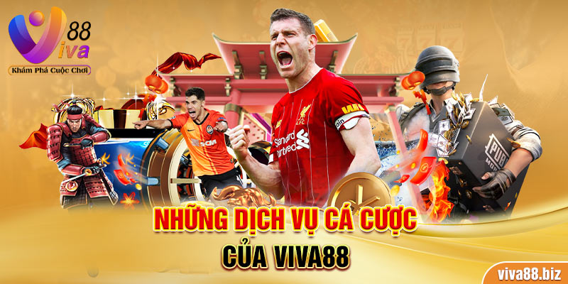 Những dịch vụ cá cược của Viva88