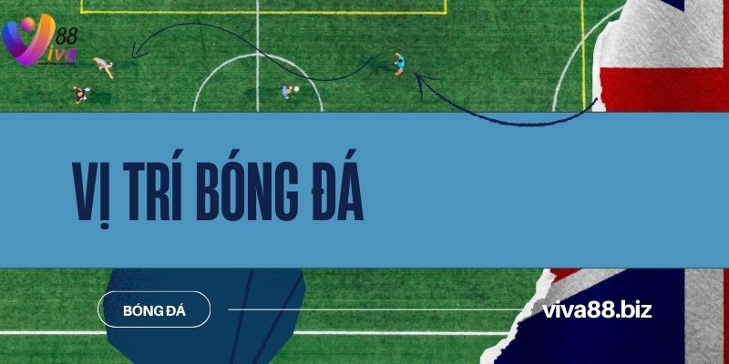 Vị trí bóng đá ảnh đại diện
