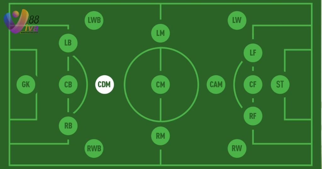 vị trí CDM ảnh đại diện